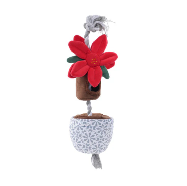 Tall Tails - 16" Poinsettia Treat Tug